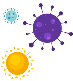 Immune system detects an infection
