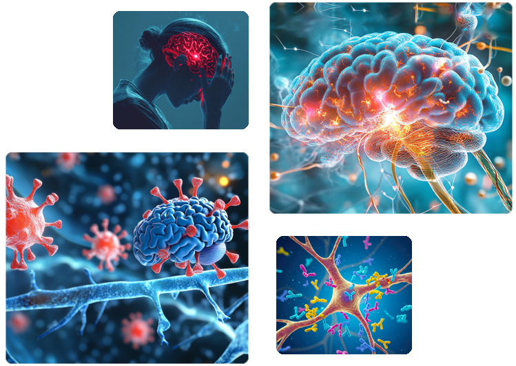 Understanding Neuropsychiatric Disorders