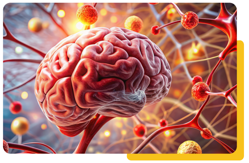 Infections and inflammation rossing the blood brain barrier